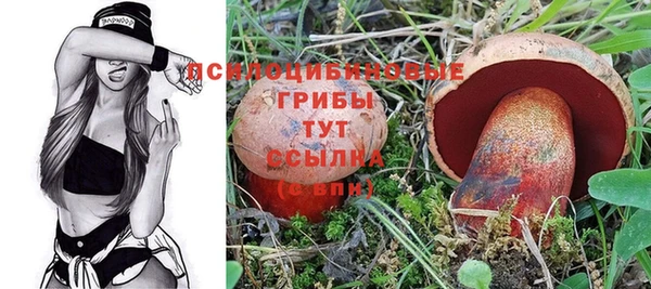 МДМА Алексеевка