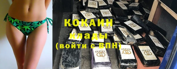 амф Алексин