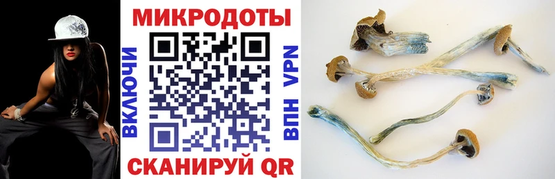 Псилоцибиновые грибы MAGIC MUSHROOMS Завитинск
